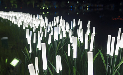 成都世警會正火熱開展，華體用夜景照明這樣添彩世警會