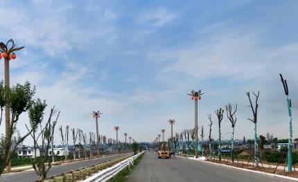 華光|照亮鄉(xiāng)村振興路！