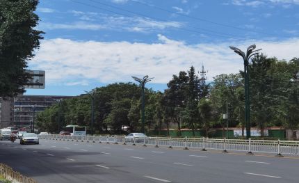 華燈何處有，把酒問宜賓