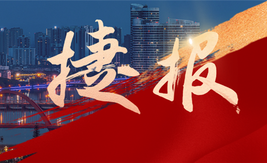 捷報速遞！華睿科技聯(lián)合華體科技中標(biāo)“德陽市城市智慧路燈建設(shè)項目”