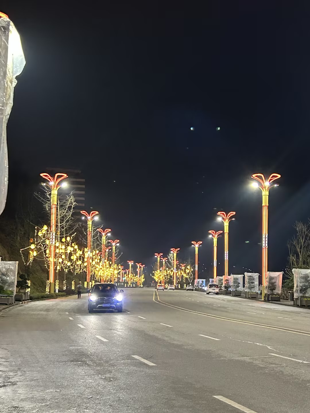 四川廣安 | 嘉陵江畔，銀杏之光舞動武勝之夜