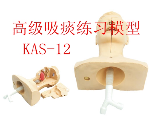 醫(yī)學(xué)教學(xué)模型